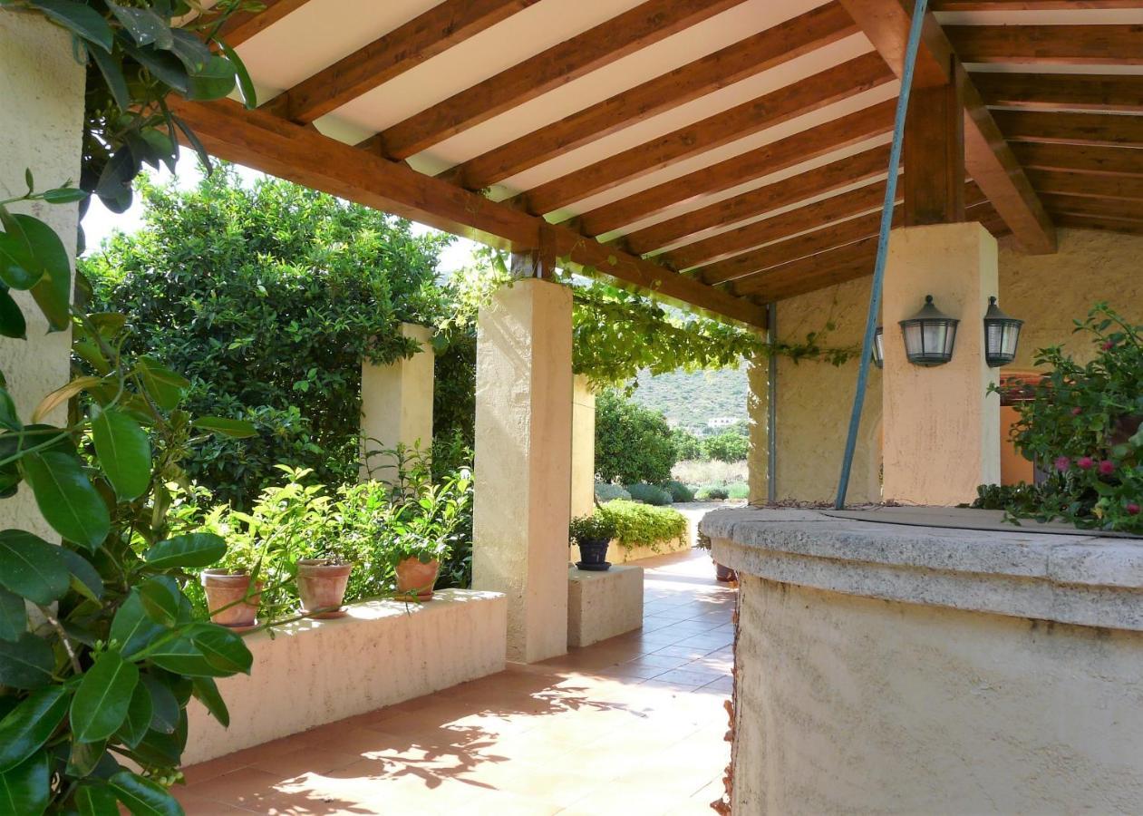 Casa Rural Con Encanto, 4 Hab Con 4 Banos Completos En Suite, Piscina Y Campo Privado 佩德雷尔 外观 照片